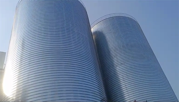 岳西2座混凝土高架卷板仓